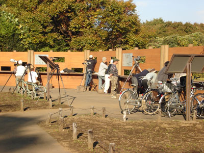 �쒹���ώ@����l�X