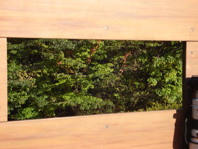 �ώ@��ɂ��鑋