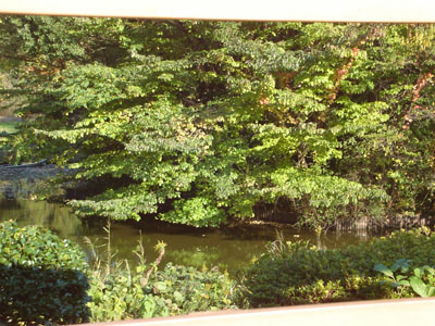 �쒹�ώ@�䂩�猩����i�F