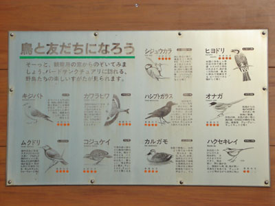 �m�����ɂ���쒹����