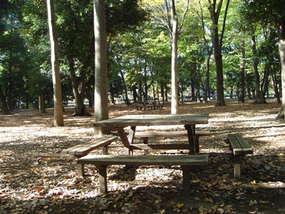 樹に囲まれたベンチとテーブル