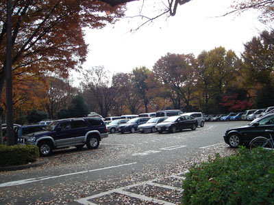 ���c�J�摍���^����@���ԏ�P