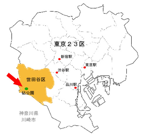 �����s���̋m�����̈ʒu