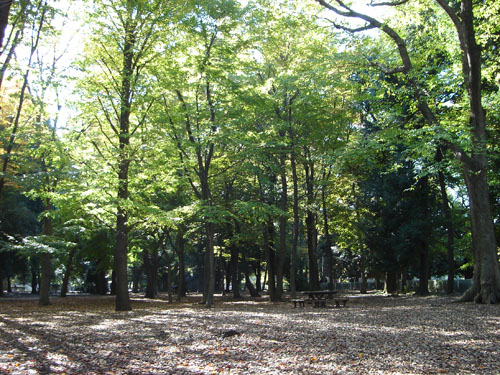 �m�����̎��؂Ɩ؉k���