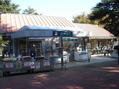 ���X�̗l�q