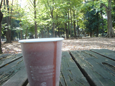 �z�b�g�R�[�q�[