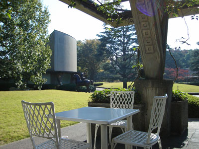 ����W�����_���̃e���X��