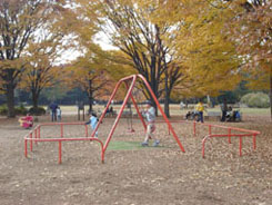 �m�����̗V��P�P