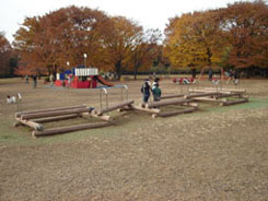 �m�����̗V��S