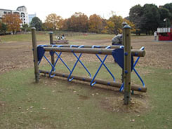 �m�����̗V��V