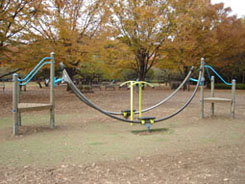 �m�����̗V��X