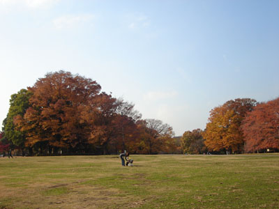 �ǂ��܂ł��L����Ő�