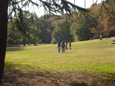 �t�@�~���[�p�[�N�̎Ő�