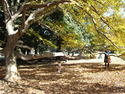 �t�@�~���[�p�[�N���̎���