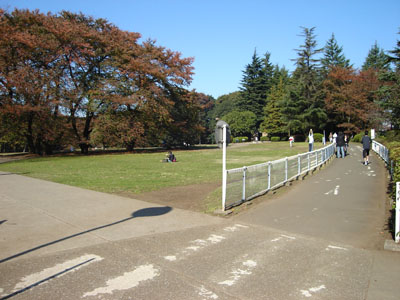 �T�C�N�����O���[�h�P