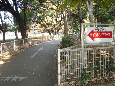 �T�C�N�����O���[�h�Q