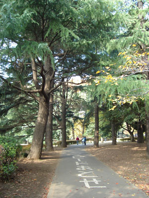 �T�C�N�����O���[�h�R