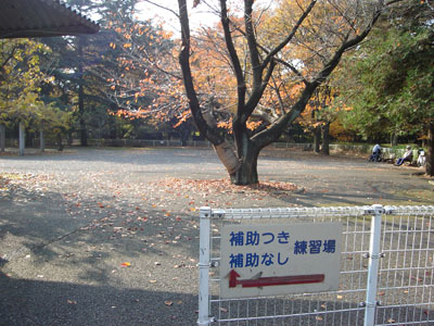 �`�������L��